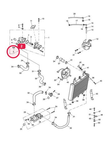 Triumph t2100808 sensor - t2100808,